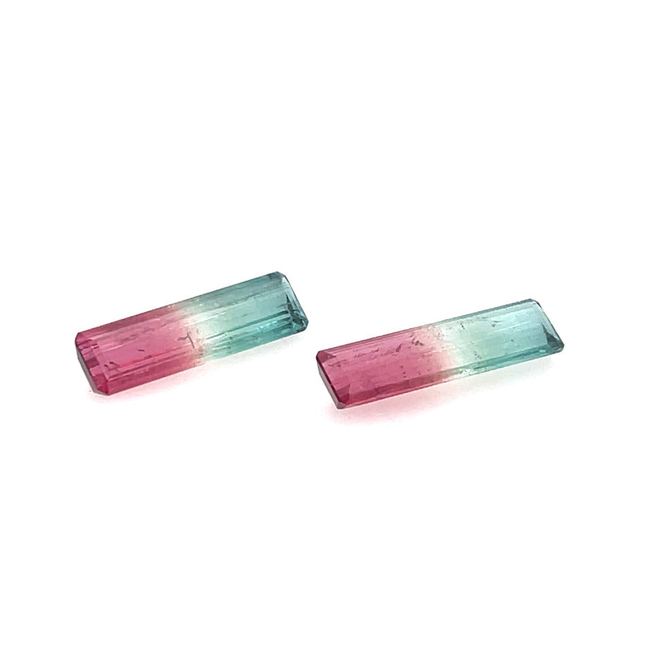 BICOLOR TM EC MP
27.28CT
KC9100
